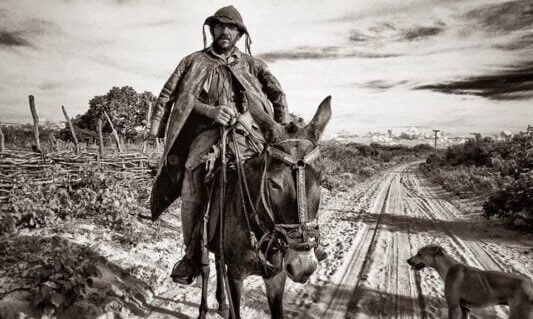 O causo do vaqueiro José Francisco de Paula