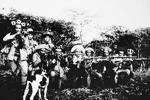 O cangaço, o latifúndio e as oligarquias