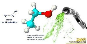 Enzima-chave descoberta na Amazônia potencializa a obtenção do etanol