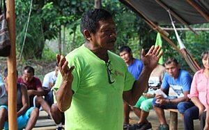 Eu te benzo, Deus te cura: A cura pela natureza e pela fé