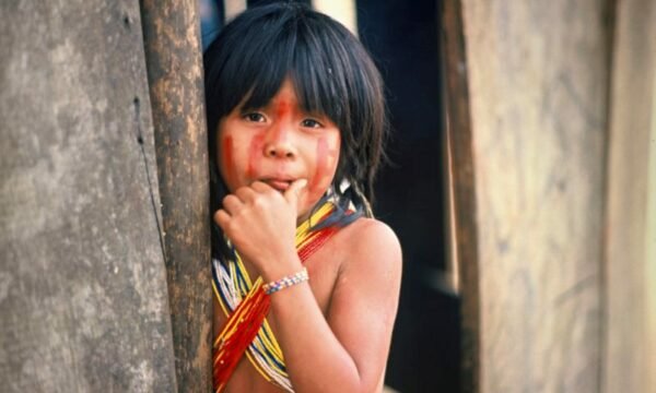 ECOFALANTE: 121 FILMES E HOMENAGEM A CHICO MENDES 2 mostra ecofalante cinema ambiental criancas amazonia chico mendes.jpg.pagespeed.ce .3BVsEDb2qn