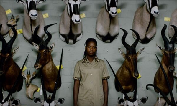 ECOFALANTE: 121 FILMES E HOMENAGEM A CHICO MENDES 3 mostra ecofalante cinema ambiental safari mostra internacional contemporanea.jpg.pagespeed.ce .W3ODVHwfoz