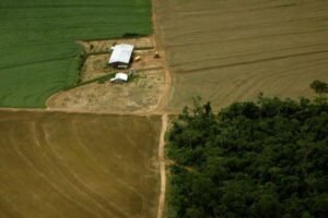 DESMATAMENTO É 2ª MAIOR CAUSA DAS MUDANÇAS CLIMÁTICAS