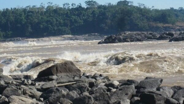 Povos amazônicos domesticaram plantas há 6 mil anos