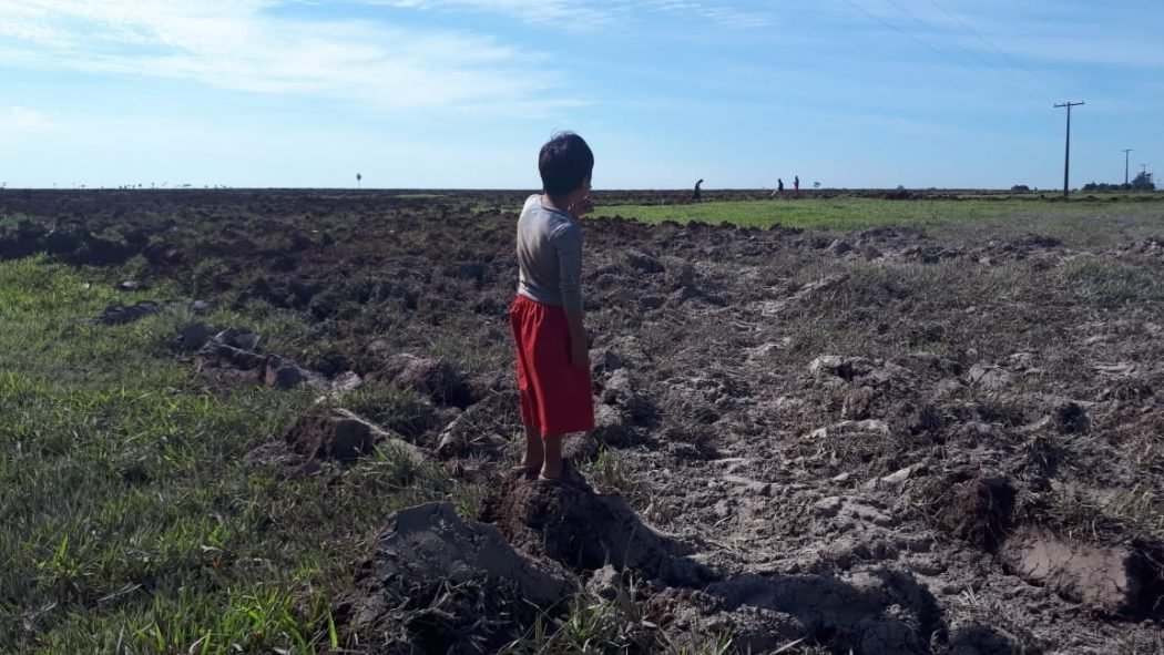 guyraroka agrotoxicos 2019 001