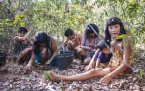 Sementes da diversidade