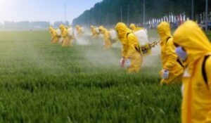 Agrotóxicos: Verdades e mentiras ditas pelos ruralistas