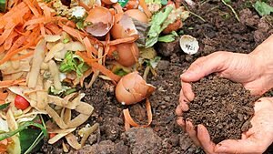 POR QUE FALAR DE COMPOSTAGEM? 1 Compostagem Foto Thinkstock