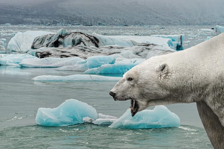 O QUE SEU CANDIDATO FARÁ SOBRE O AQUECIMENTO GLOBAL?