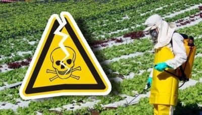 Agrotóxicos elevam risco de aborto