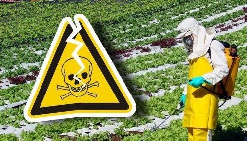 Agrotóxicos elevam risco de aborto