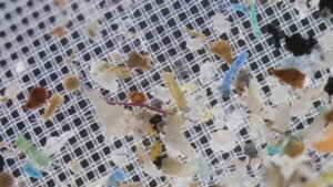 microplásticos