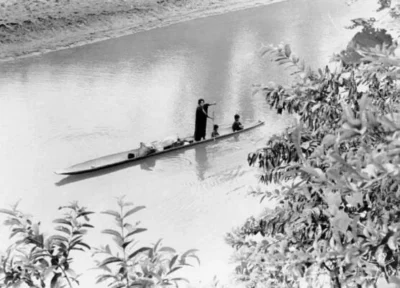 POVO JAPO Rio Amonia Marcio Ferreira