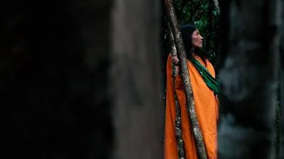 povo japo laranja dede