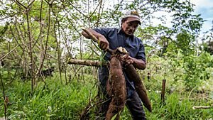 POR QUE O MEDO DA SUSTENTABILIDADE?