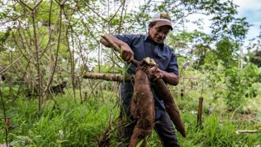 Por que o medo da Sustentabilidade?