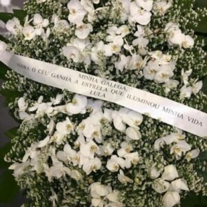 Marisa coroa de flores lula