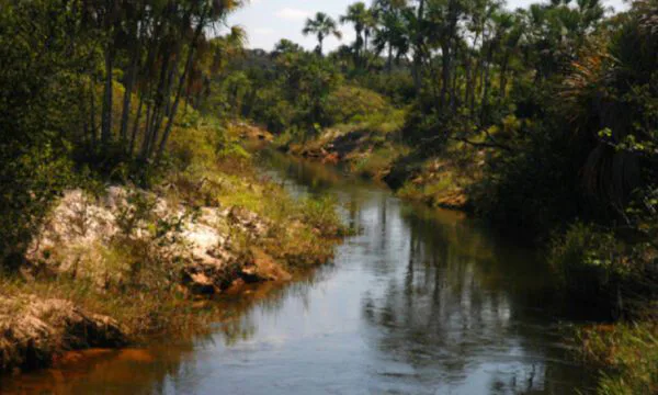 OS GRANDES AQUÍFEROS DO CERRADO BRASILEIRO