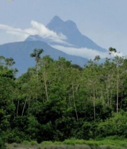 FRONTEIRAS PERIGOSAS NA AMAZÔNIA