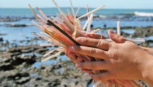 CAPIM VIRA CANUDO BIODEGRADÁVEL NO VIETNÃ 1 canudo compostavel e aposta de empresa vietnamita para reducao do uso plastico canudo compostavel e aposta de empresa vietnamita para reducao do uso plastico 300x170 1