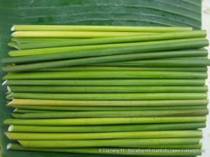 CAPIM VIRA CANUDO BIODEGRADÁVEL NO VIETNÃ 2 canudo compostavel e aposta de empresa vietnamita para reducao do uso plastico canudo compostavel e aposta de empresa vietnamita para reducao do uso plastico 4 300x225 1