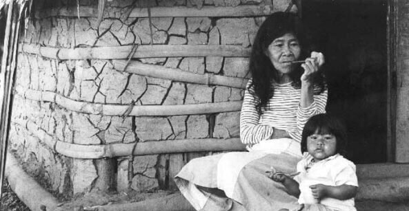 GUARANI MBYA: OS GUARDIÕES DO MILHO