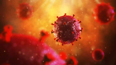 GOVERNO EXTINGUE O PROGRAMA BRASILEIRO DE AIDS 1 01 DESTAQUE O que e AIDS qual e o cenario no Brasil e como prevenir