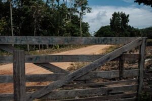 PRESSÃO DOS URU-EU-WAU-WAU PROVOCA PRISÃO DE GRILEIROS