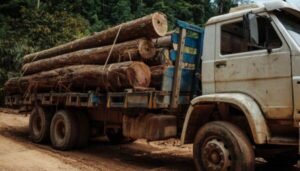 "GRILAGEM PAULISTA" IMPEDE ACESSO À TERRA NO AMAZONAS