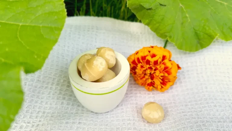 MEMBRANA BIODEGRADÁVEL DE MACADÂMIA