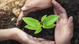 Você sabe o que é sustentabilidade?