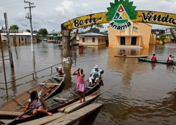 ANAMÃ: METADE DO ANO NA ÁGUA, OUTRA METADE NA TERRA