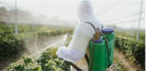 Clorpirifós: aumento do uso no Brasil reduz QI infantil