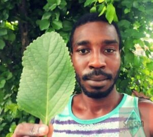 Ciência e sabedoria popular: afroempreendedor cria cosméticos inspirados na ancestralidade africana