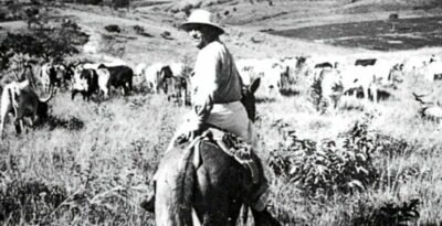 ROSA: "CORAGEM – É O QUE O CORAÇÃO BATE; SE NÃO, BATE FALSO"