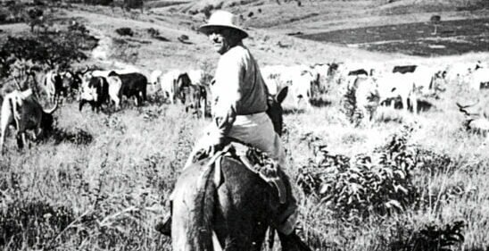 ROSA: "CORAGEM – É O QUE O CORAÇÃO BATE; SE NÃO, BATE FALSO"