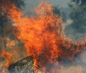 AS BURLAS DO CAPITÃO XAUARA: MANUAL PARA LER BULA