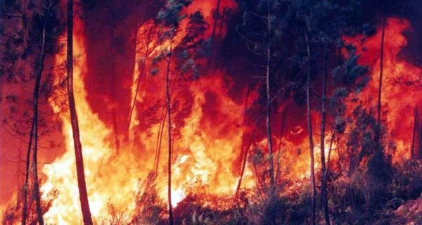 A Amazônia está queimando