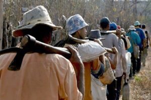 Trabalha a Dor, Trabalhador!