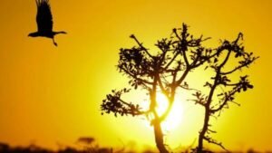 Brasília seca Brasília de Fato