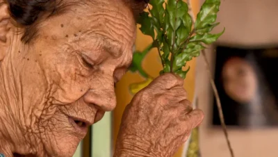 BEM-VIVER OU VIVER MELHOR? 1 benzedeira G