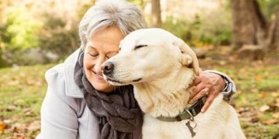 estudo diz que amor entre cachorro e dono e o mesmo de mae e filho