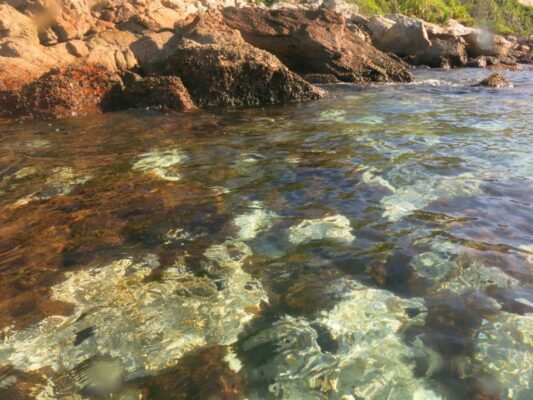 CORAIS BRASILEIROS ENTRAM NO MAPA DAS ESPÉCIES AMEAÇADAS