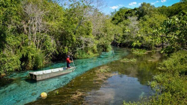 5 DESTINOS PARA CONHECER OS BIOMAS DO BRASIL