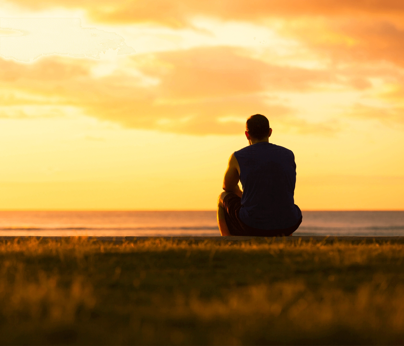 117c1554 c196 445e a0a2 b7aa28c10d62