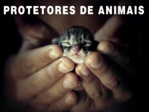 O seu comportamento em relação aos animais diz muito sobre quem você é