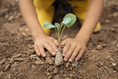 Para além das Nações, Construir a Terra