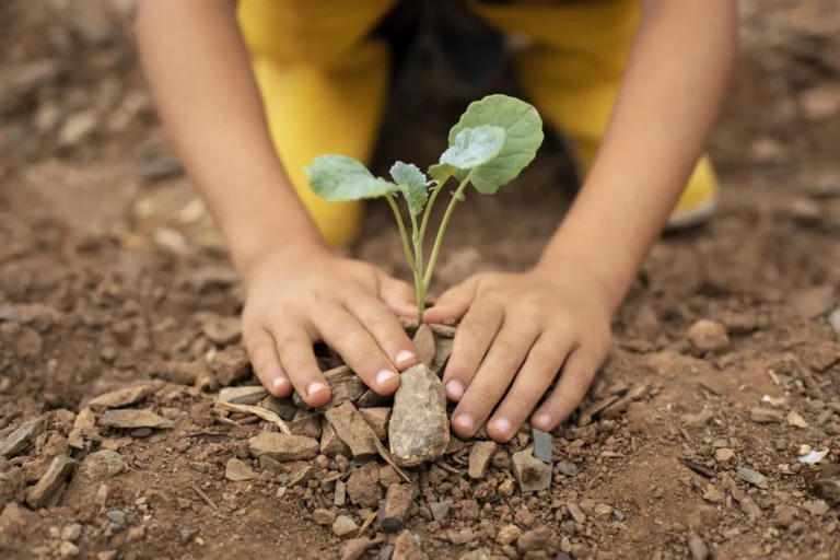 Para além das Nações, Construir a Terra