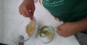 Higiene bucal de baixo custo com juá, hortelã e cravo