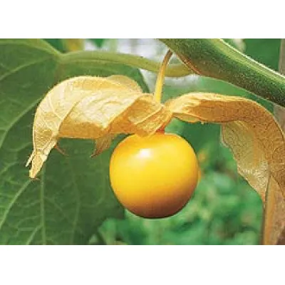 noticia 1464789381623cacb907f95